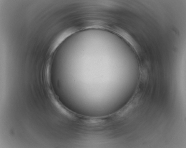 X0000114391290200910161246