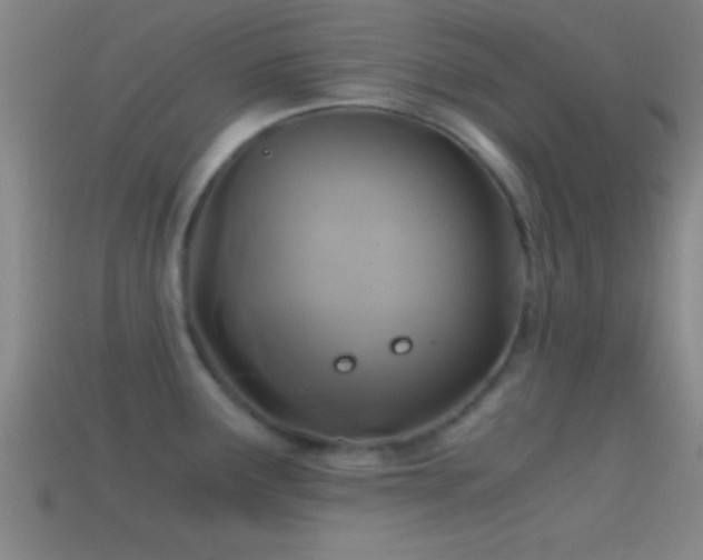 X0000114391291200910161246