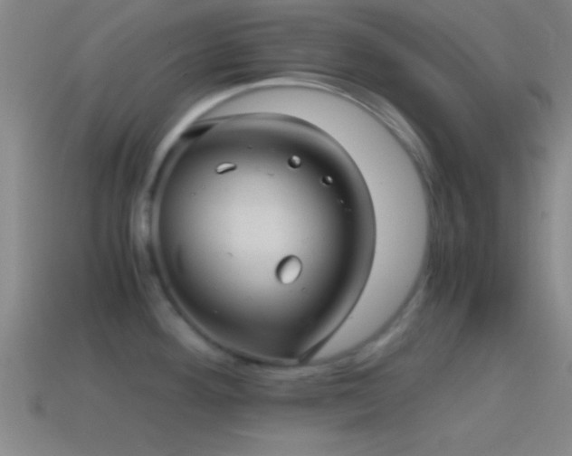 X0000114391292200910161246