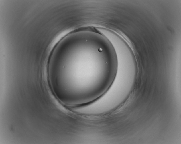 X0000114391293200910161246