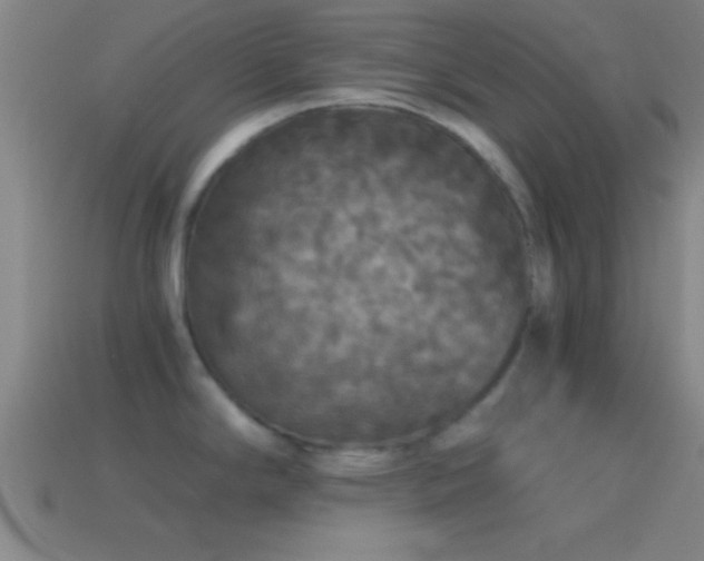 X0000114391294200910161246