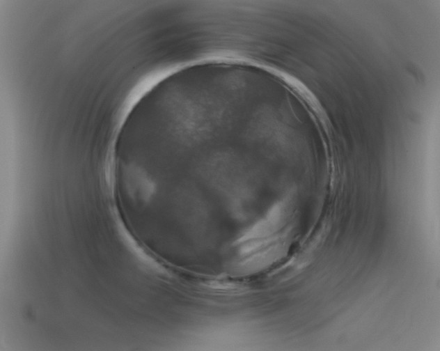 X0000114391295200910161245