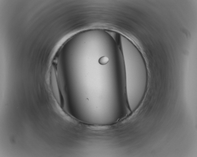 X0000114391296200910161245