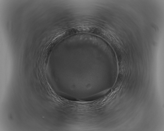 X0000114391297200910161245