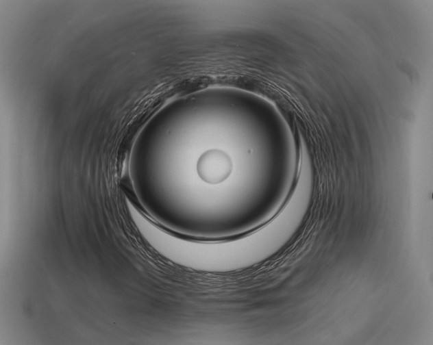 X0000114391298200910161245