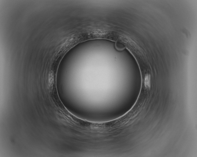 X0000114391299200910161245