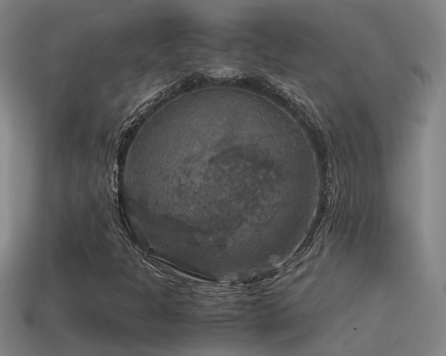 X0000114391301200910161245