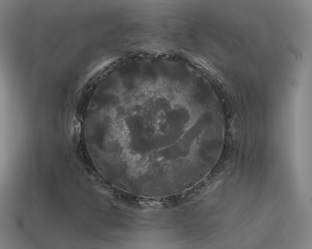 X0000114391302200910161245