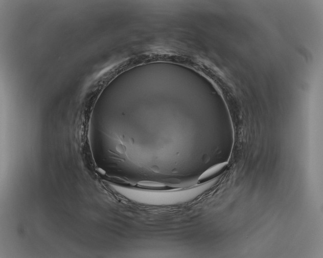 X0000114391303200910161245