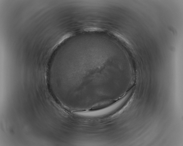 X0000114391305200910161245