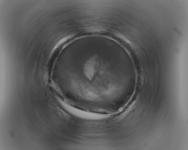 X0000114391306200910161245