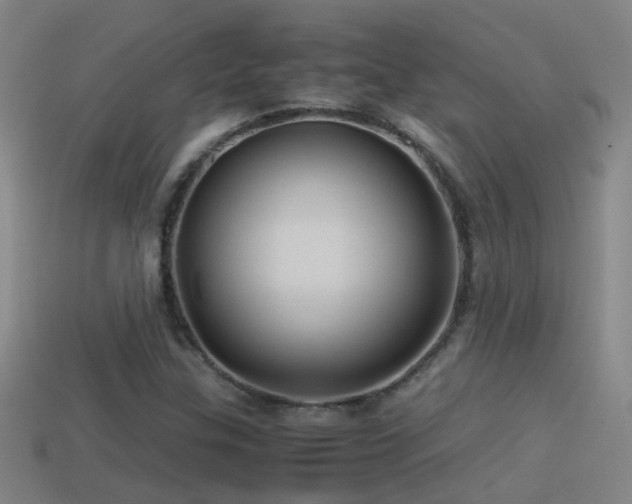 X0000114391307200910161245
