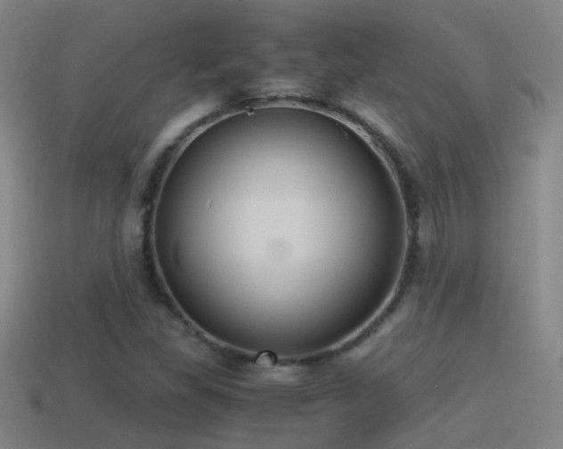 X0000114391309200910161245