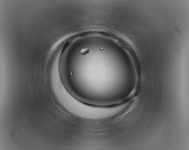 X0000114391310200910161245