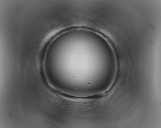 X0000114391311200910161245