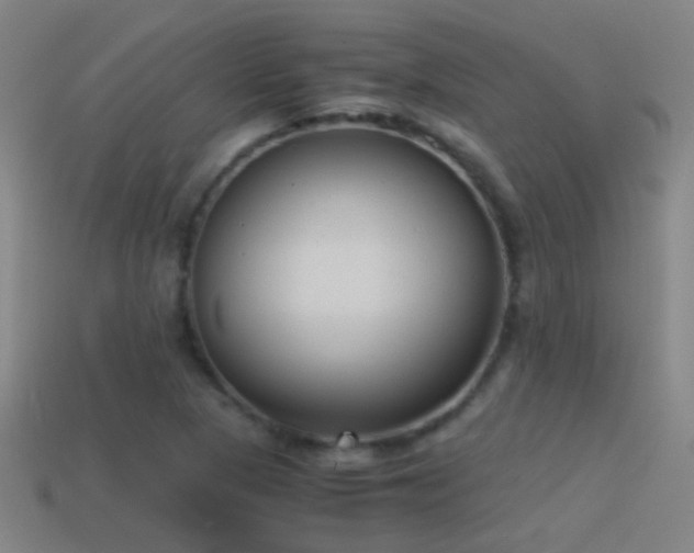 X0000114391313200910161245