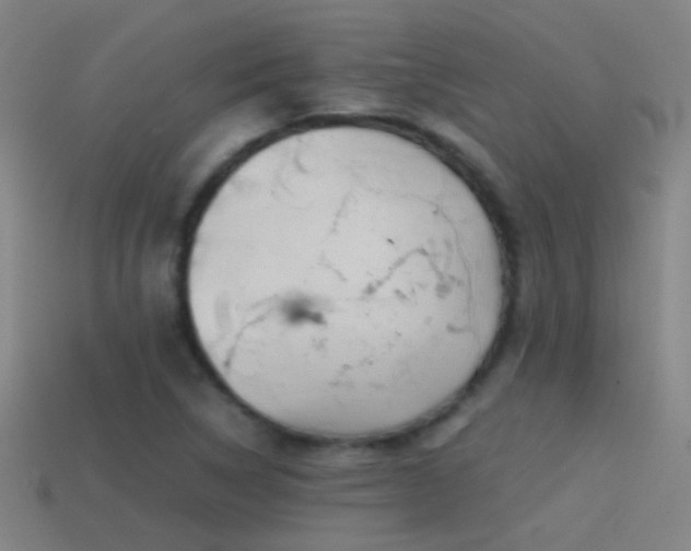 X0000114391314200910161245