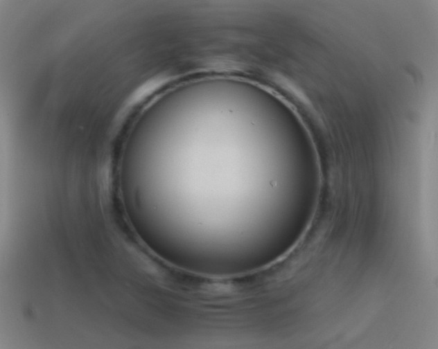 X0000114391315200910161245