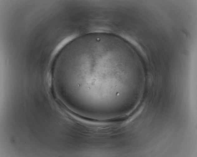 X0000114391317200910161245