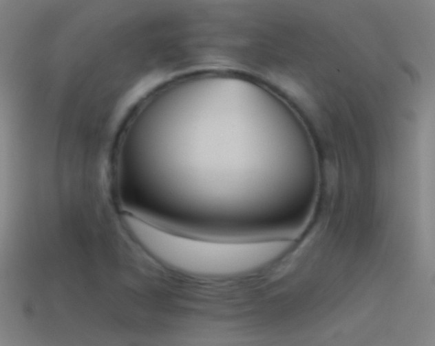 X0000114391318200910161245