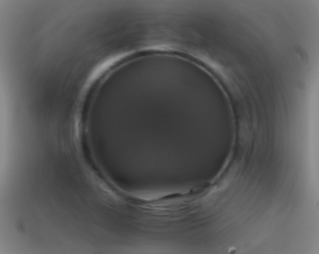 X0000114391319200910161245