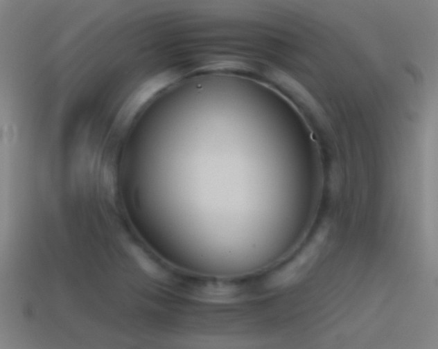 X0000114391321200910161245