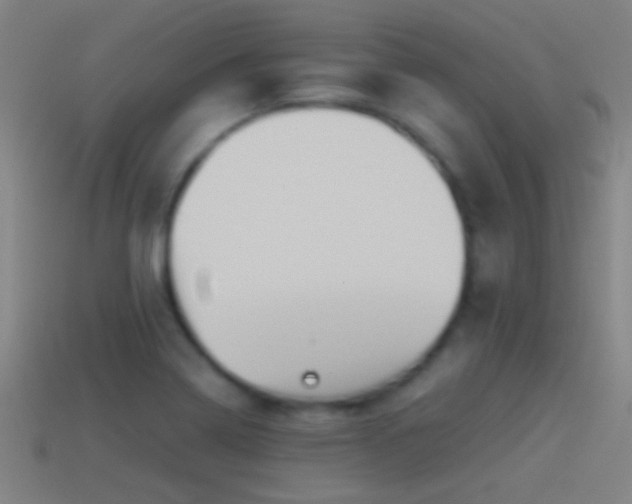 X0000114391322200910161245