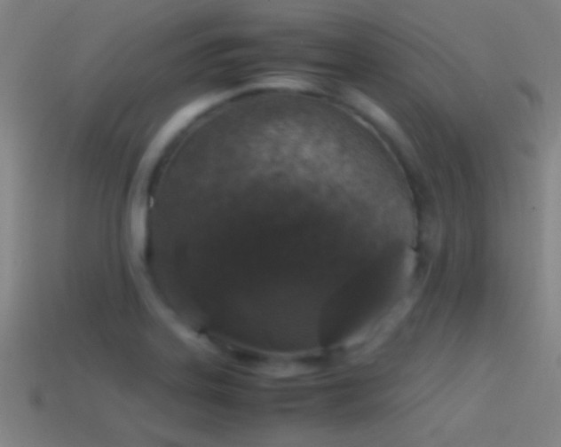 X0000114391323200910161245