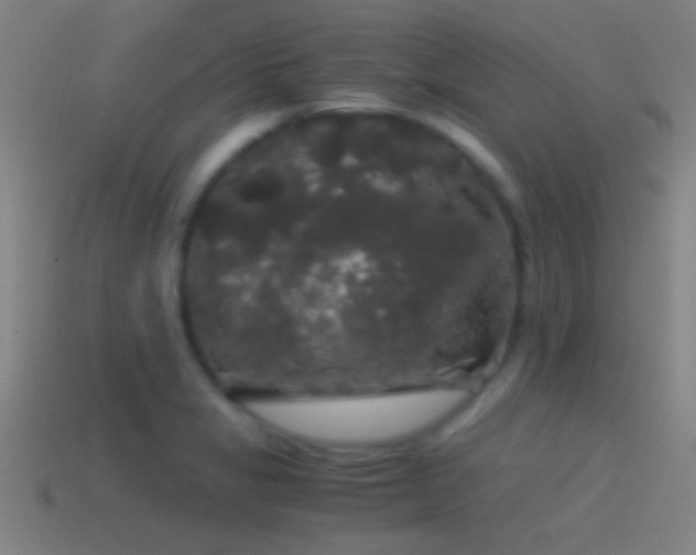 X0000114391325200910161245