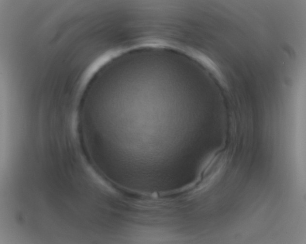 X0000114391326200910161245