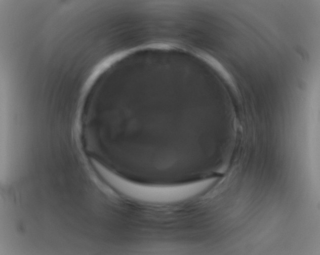 X0000114391327200910161245
