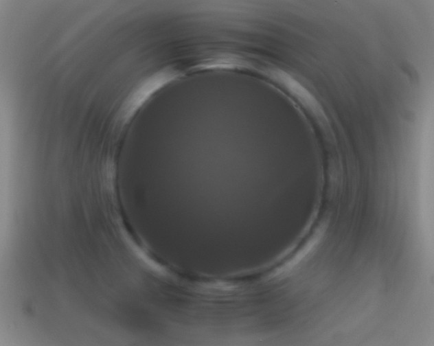 X0000114391329200910161245