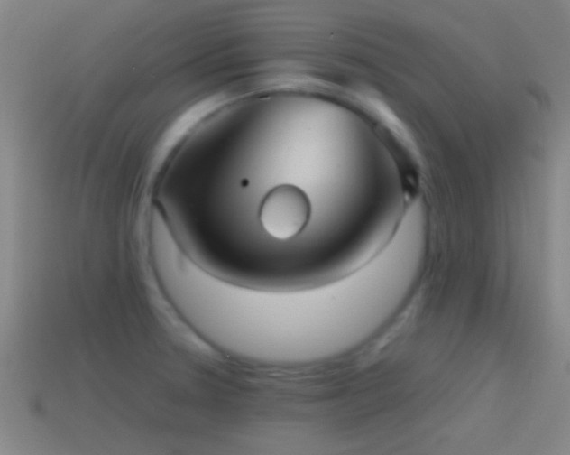 X0000114391330200910161245