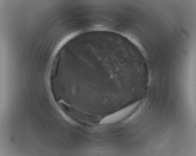X0000114391333200910161245