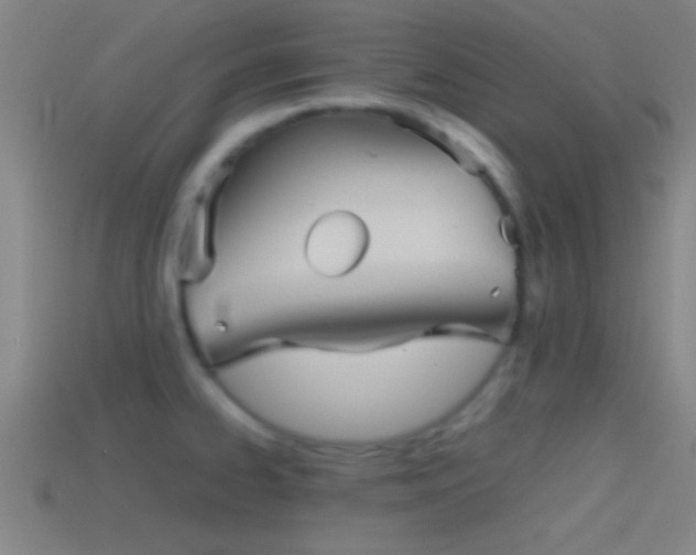 X0000114391334200910161245