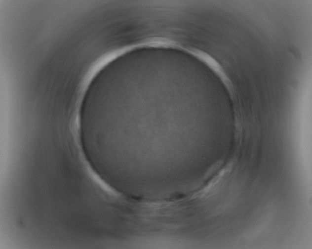 X0000114391335200910161245