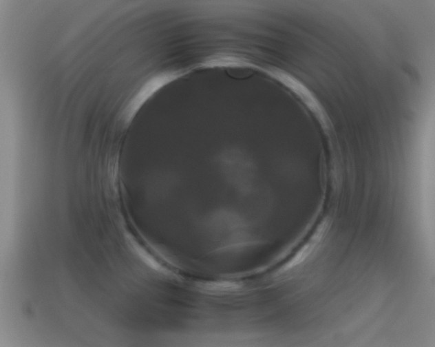X0000114391337200910161245