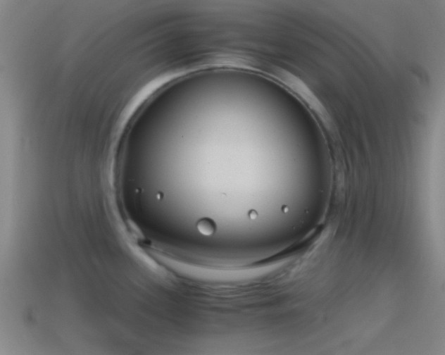 X0000114391339200910161245