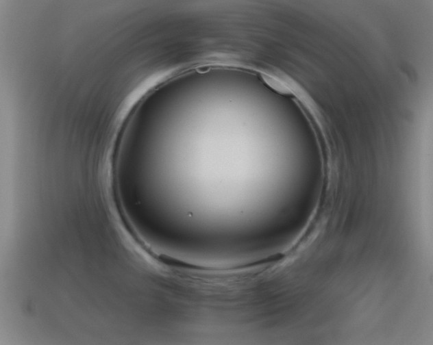 X0000114391341200910161245