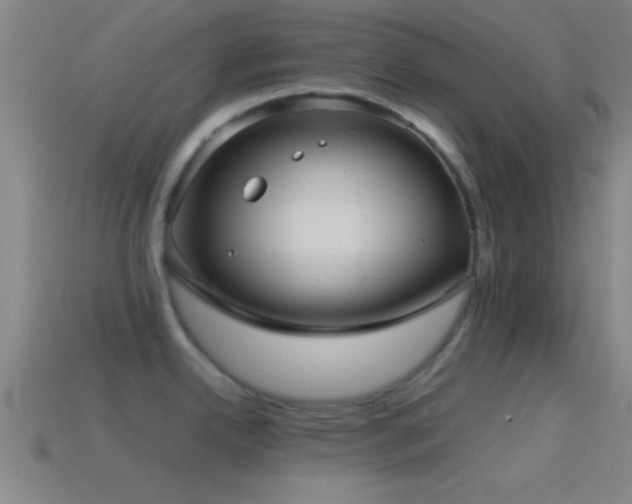 X0000114391342200910161245