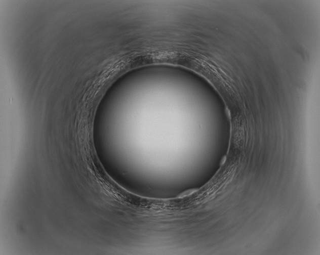 X0000114391345200910161245
