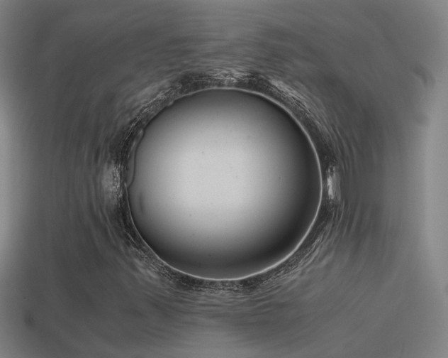X0000114391347200910161245
