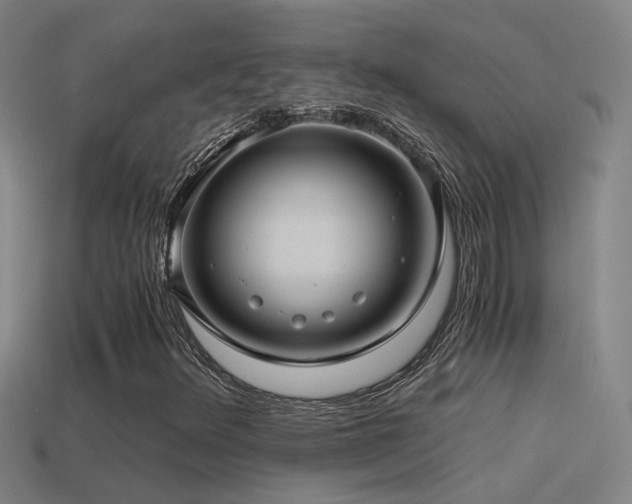 X0000114391348200910161245
