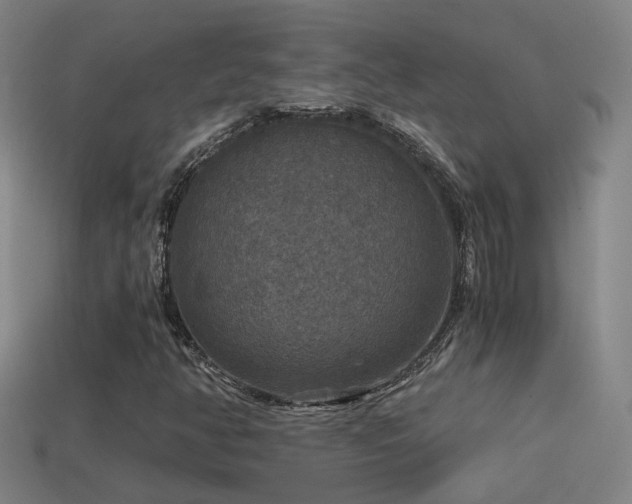 X0000114391350200910161245
