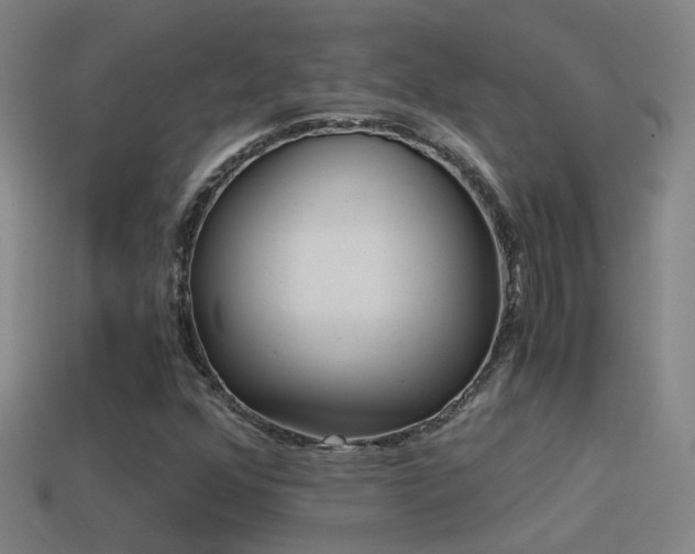 X0000114391352200910161245
