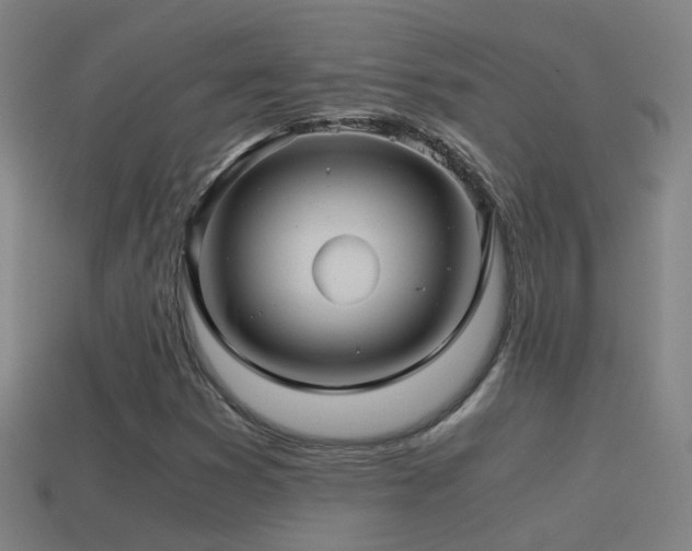 X0000114391353200910161245