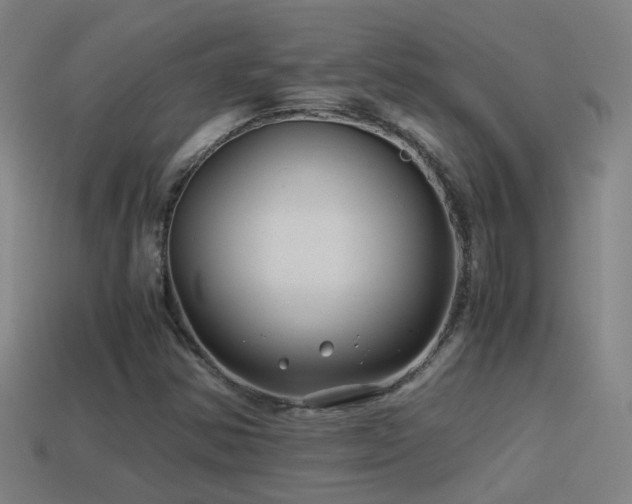 X0000114391354200910161245