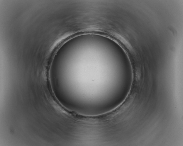 X0000114391356200910161245
