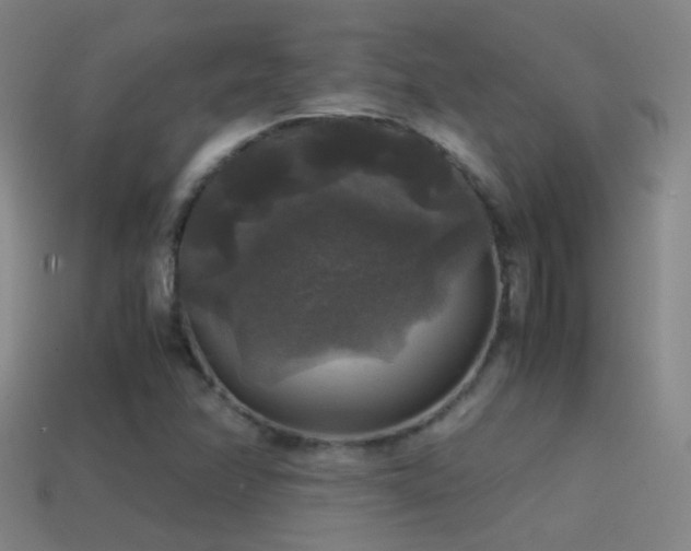 X0000114391358200910161245