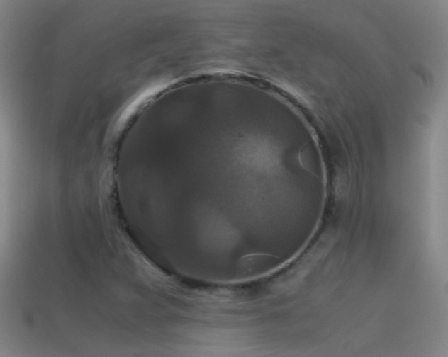 X0000114391359200910161245
